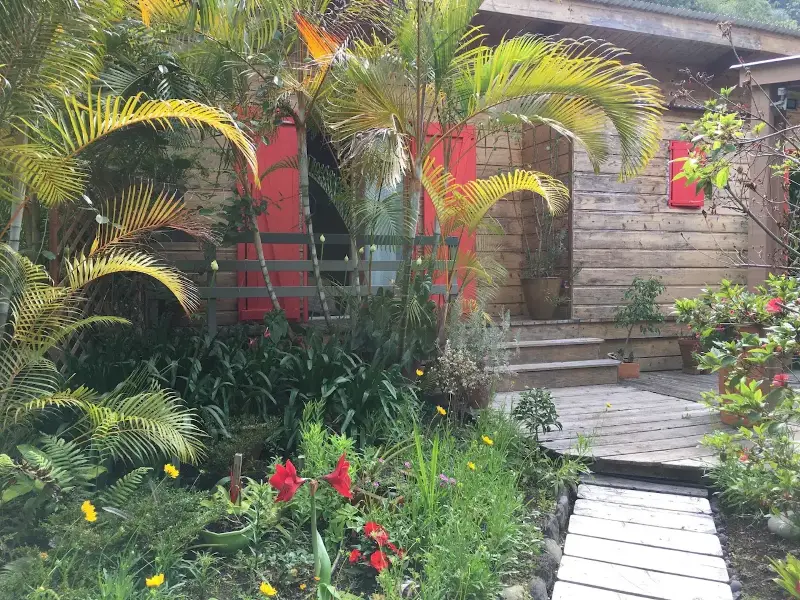 Bungalow de la chambre d'hôtes derrière amaryllis et palmiers, Grand-Bassin, La Réunion