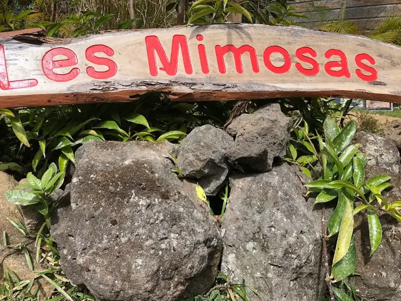 Enseigne Les Mimosas, chambre d'hôtes à Grand-Bassin, sur pierres de lave