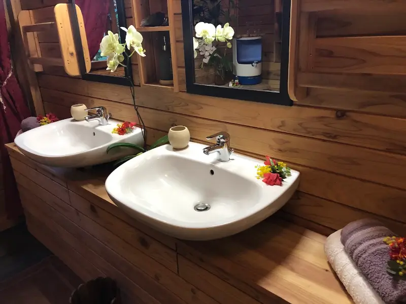 Salle de bains de la chambre d'hôtes Les Mimosas : deux lavabos, orchidée, fontaine filtrante