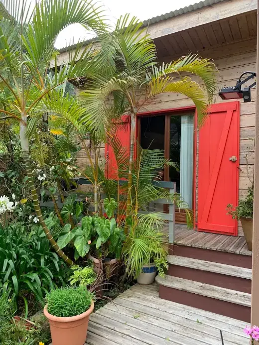 Volets rouges du bungalow de la chambre d'hôtes derrière les palmiers, La Réunion